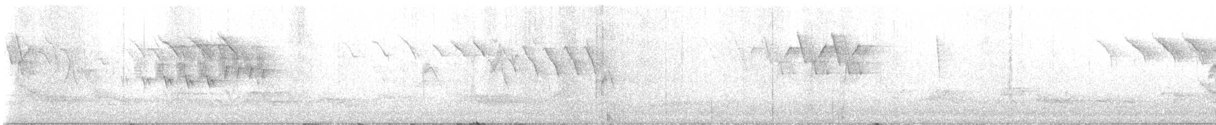 סבכון חכלילי - ML645877423