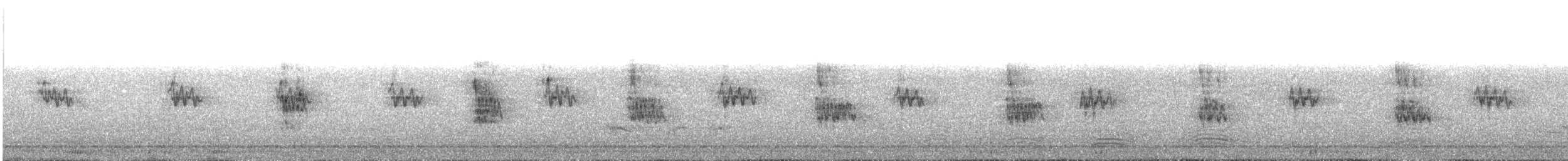 Estornino Pinto - ML645877629