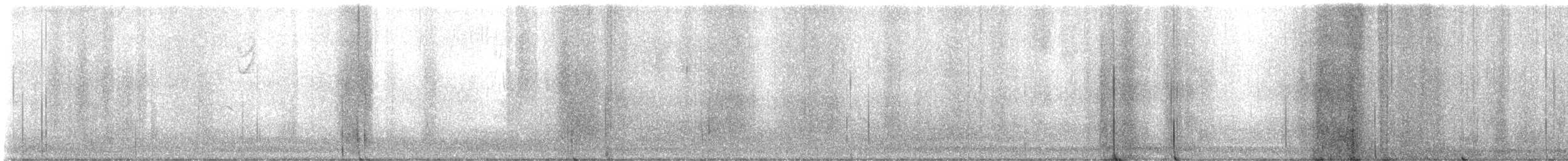 Búho Americano - ML645877658