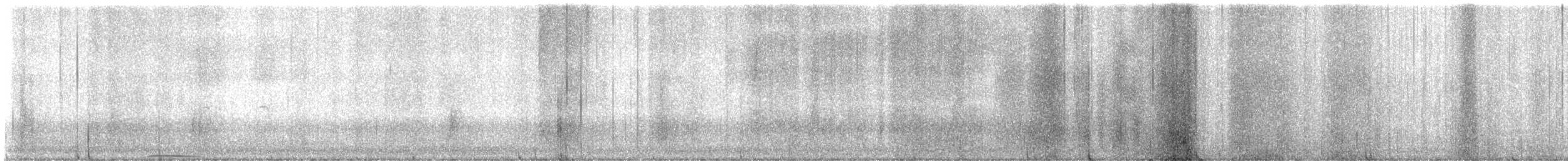 Búho Americano - ML645877659