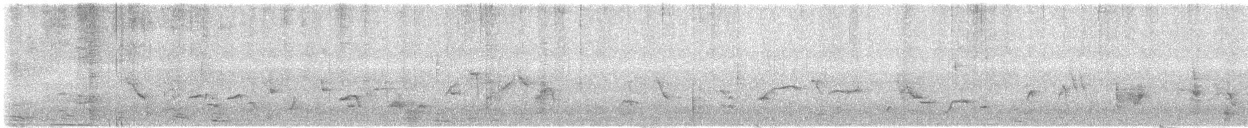 Thick-billed Green-Pigeon - ML645879132