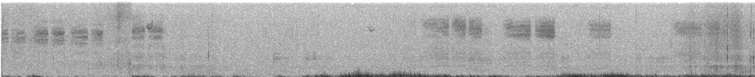 Bewick's Wren - ML645879760