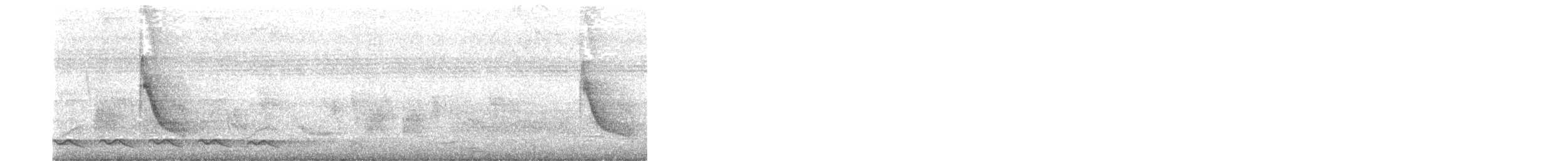 Asian Koel - ML645879821