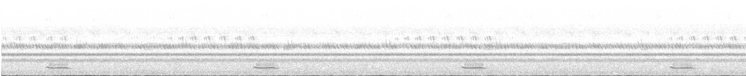 Petit-duc scops - ML645879942