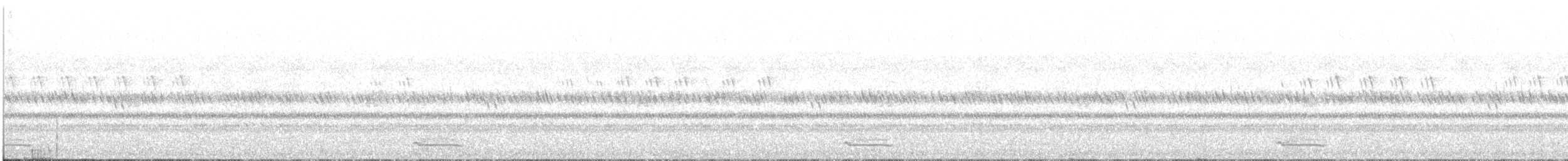 Petit-duc scops - ML645879943