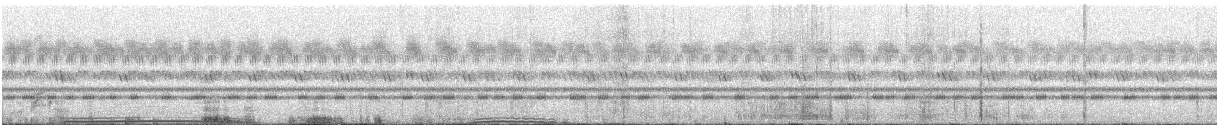 Grand-duc d'Oman - ML645879966