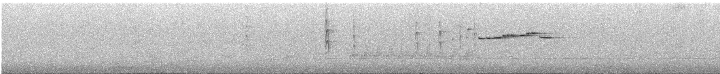 Gray Fantail - ML645880342