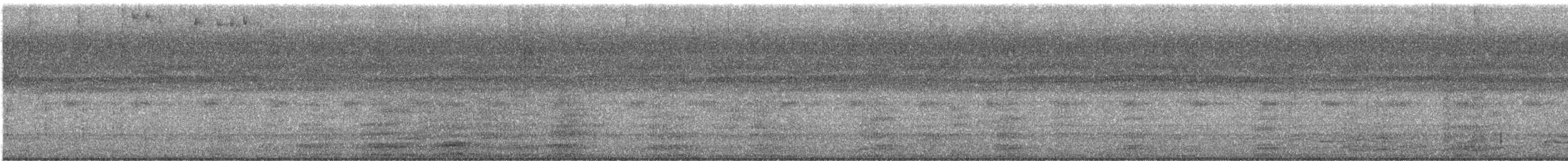 Cormoran vigua - ML645880373