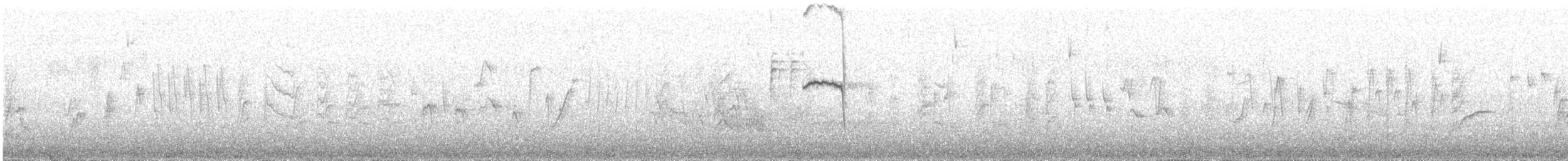 Giant Hummingbird - ML645880586