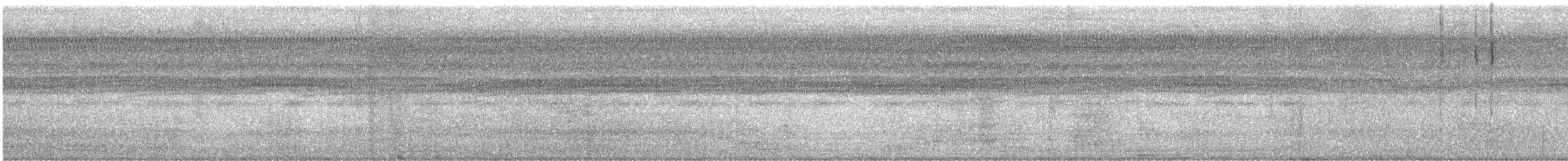 Cormoran vigua - ML645880700