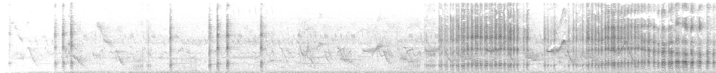 Green Woodhoopoe - ML645880880