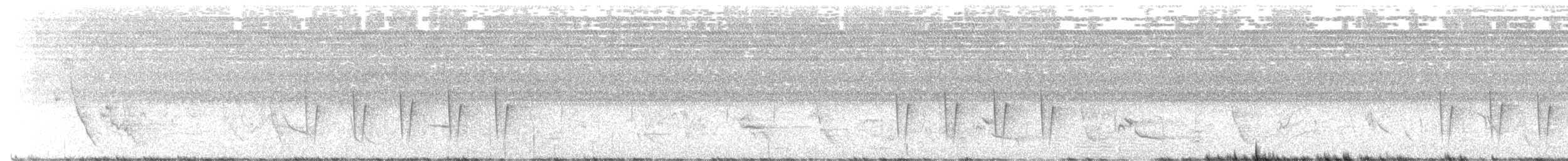 Green-backed Camaroptera (Gray-backed) - ML645880889