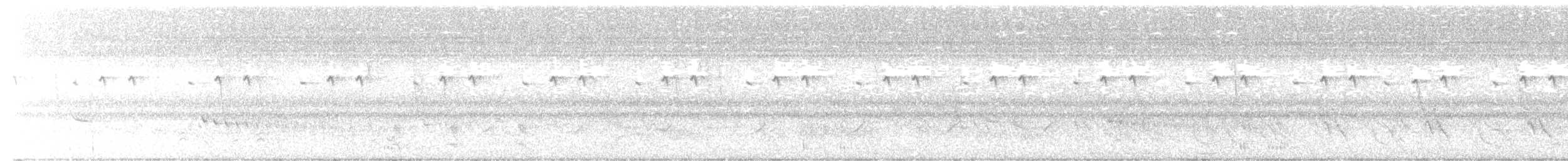 Shelley's Sunbird (Shelley's) - ML645880890