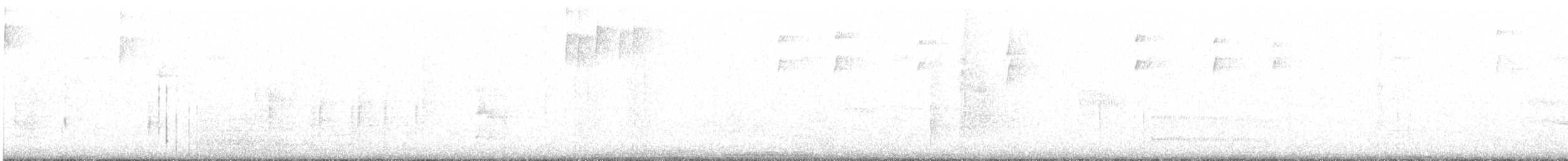 Southern Bentbill - ML645880917