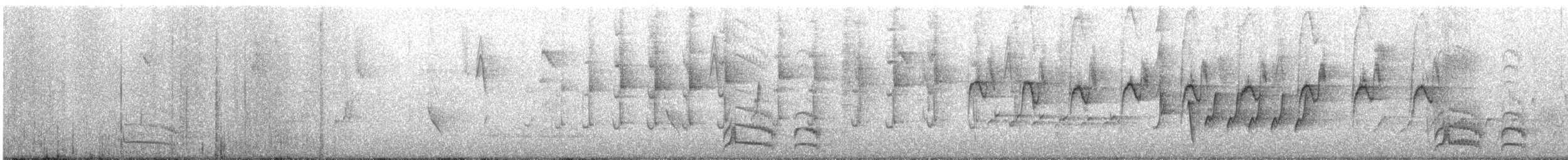 Australian Owlet-nightjar - ML645880960