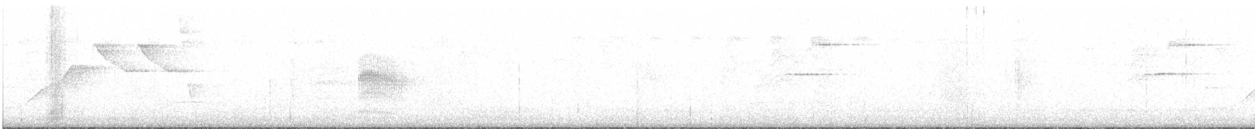 ウスグロアリドリ - ML645881102