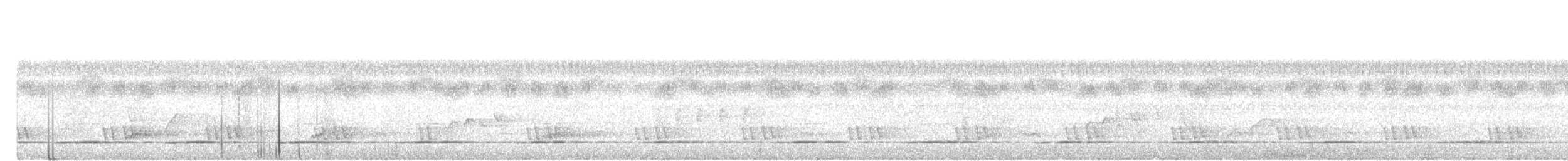 Sabah Partridge - ML645882001