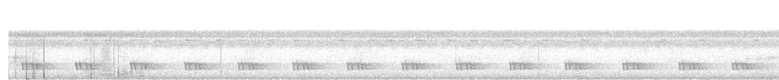 Black-eared Barbet - ML645882122