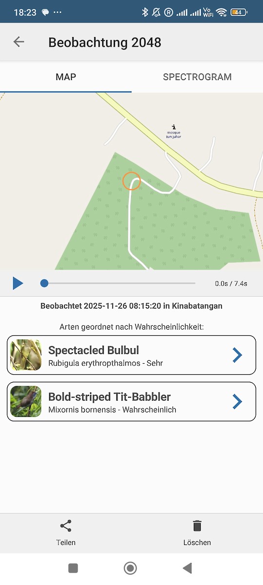 bulbul brýlatý - ML645882159
