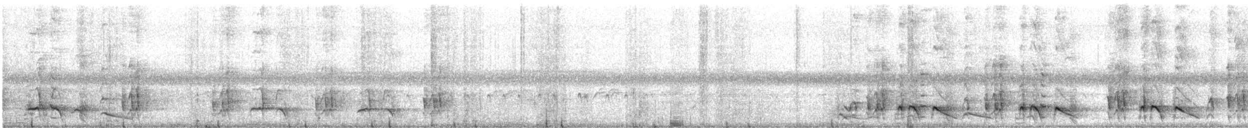 Little Friarbird - ML645882788