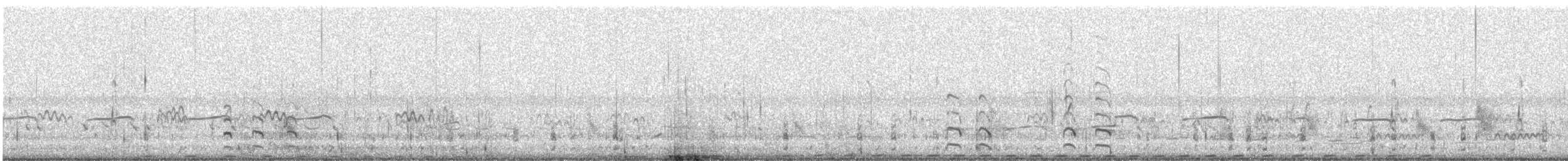 Aguja Colipinta - ML645882858