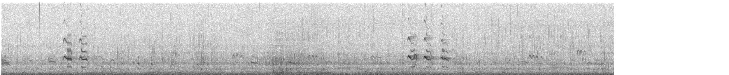 Archibebe Claro - ML645882872