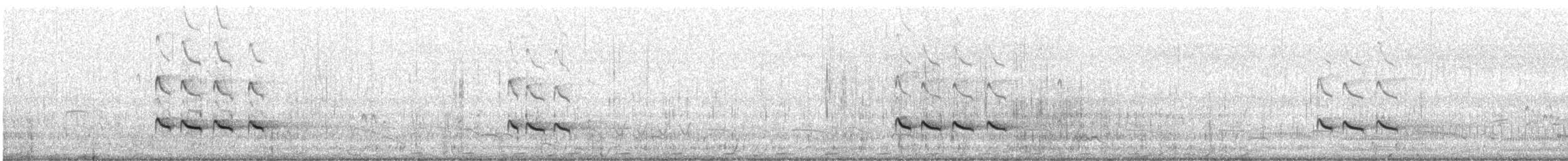 Archibebe Claro - ML645882873