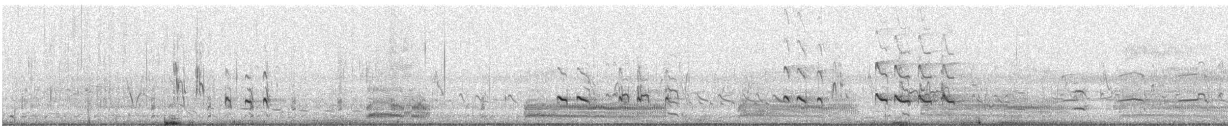 Archibebe Claro - ML645882874