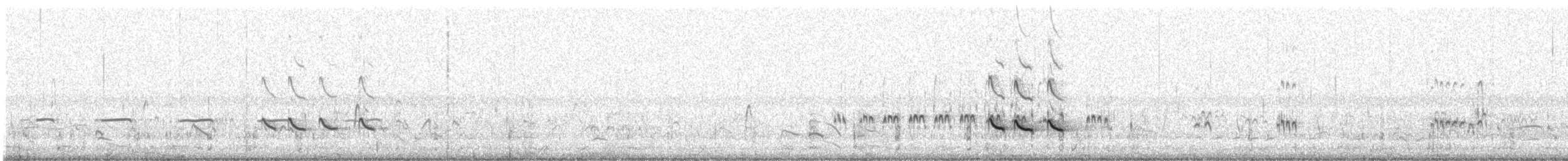 Archibebe Claro - ML645882875