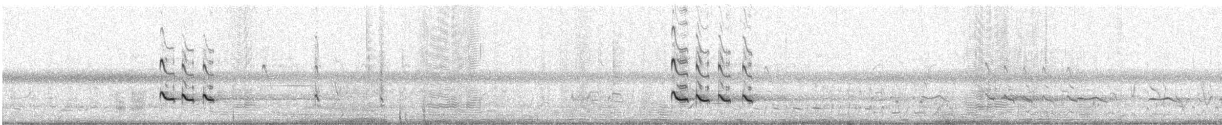 Archibebe Claro - ML645882876