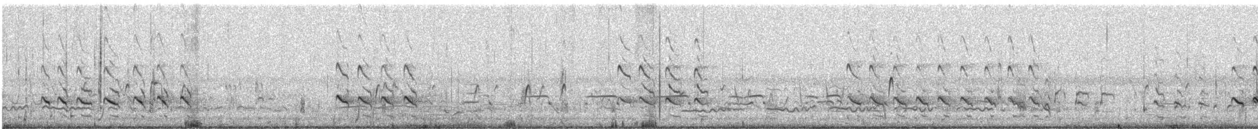 Archibebe Claro - ML645882877