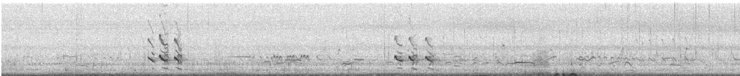 Archibebe Claro - ML645882878