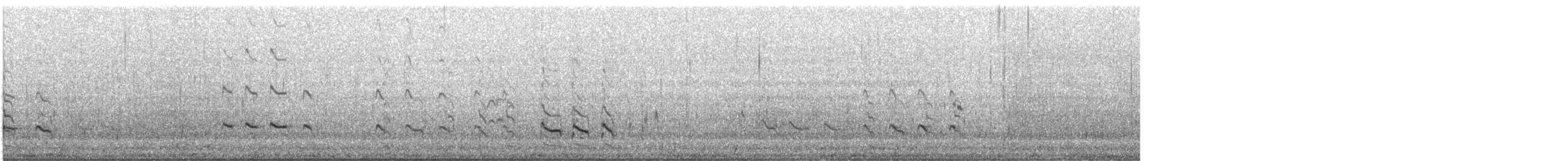 Archibebe Claro - ML645882886