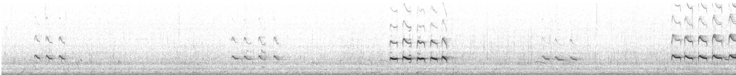 Archibebe Claro - ML645882887