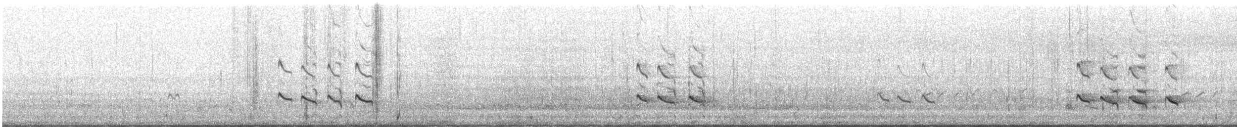 Archibebe Claro - ML645882888