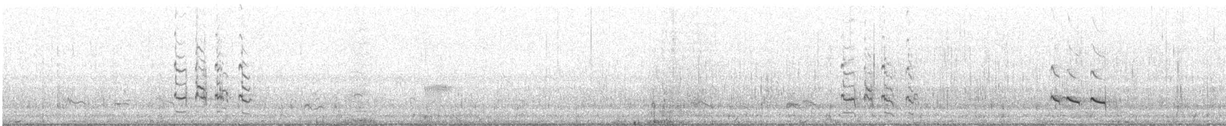 Archibebe Claro - ML645882889