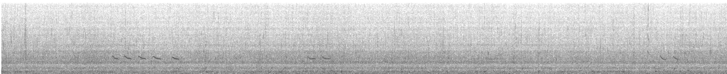 Archibebe Claro - ML645882890