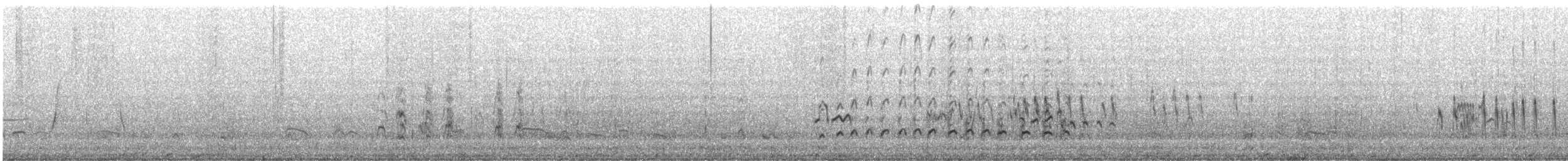 jespák velký - ML645882908