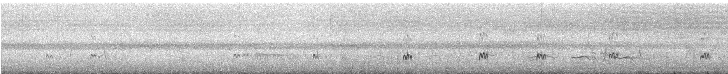 kulík větší - ML645882913