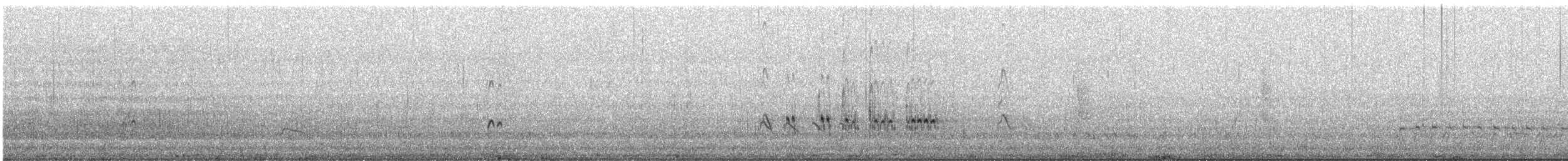 kulík větší - ML645882916