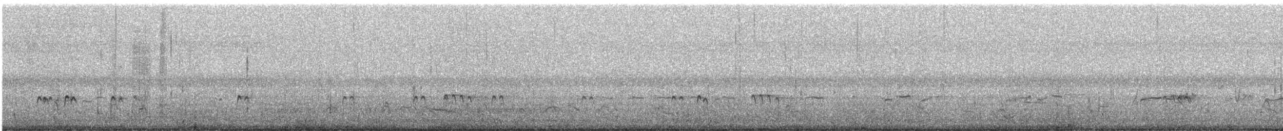 kulík větší - ML645882917