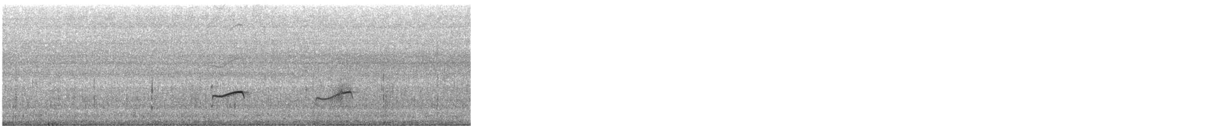 Gray-tailed Tattler - ML645882930