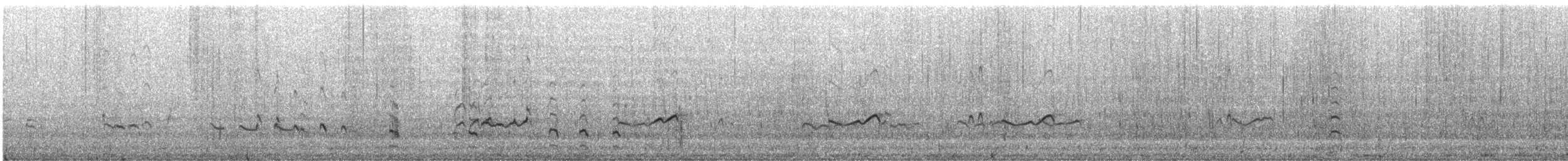 Gray-tailed Tattler - ML645882931