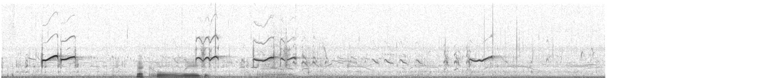 Gray-tailed Tattler - ML645882932