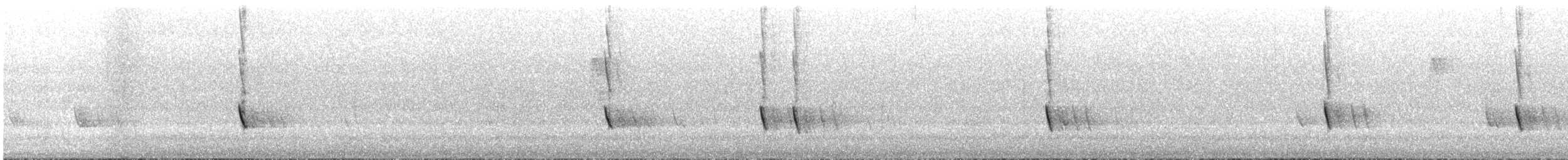 New Holland Honeyeater - ML645882943