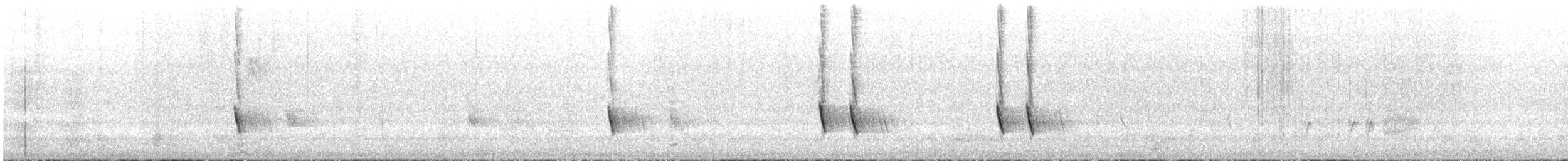 New Holland Honeyeater - ML645882944