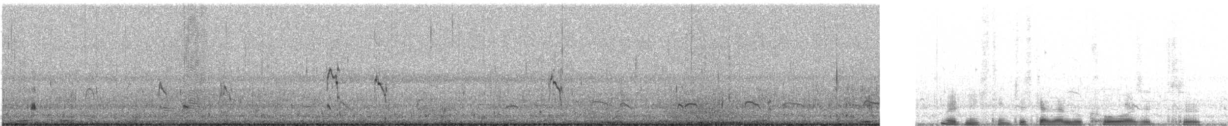 Песочник-красношейка - ML645882958