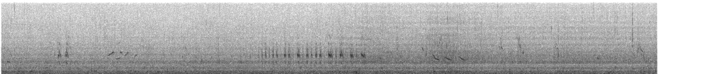 Австралийская чайка - ML645882959