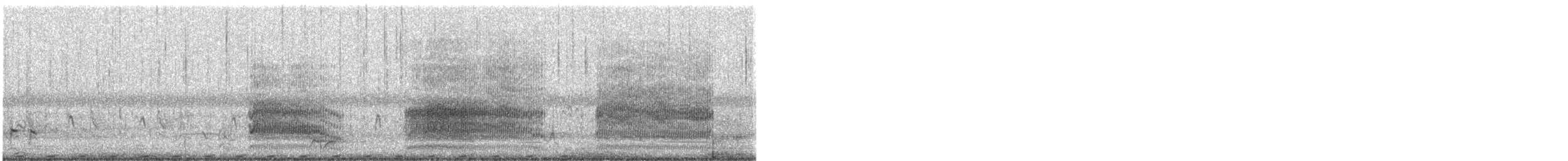 Австралийская чайка - ML645882963