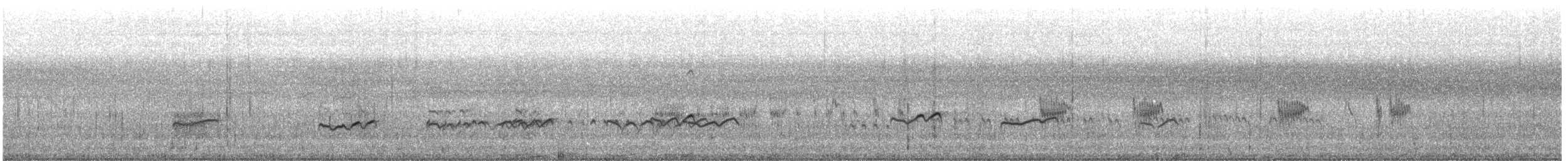 Terek Sandpiper - ML645882973